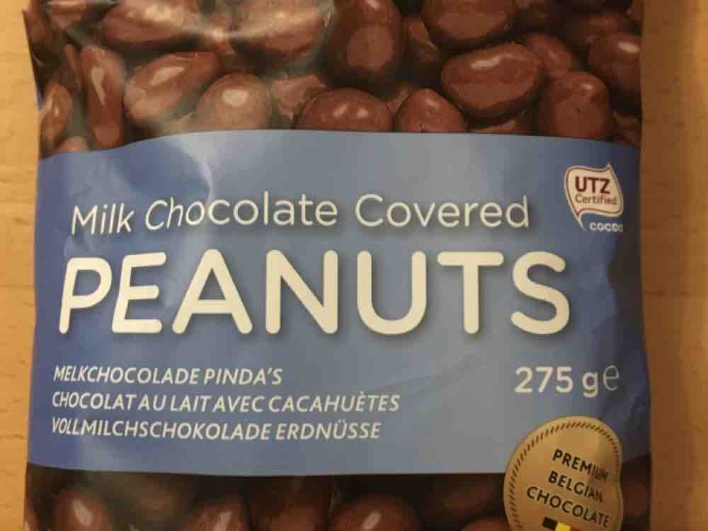 Milk Chocolate Covered Peanuts von Kathzchen | Hochgeladen von: Kathzchen