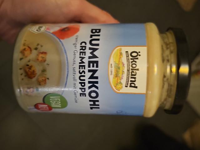 Hochgeladen von: juliswelt473