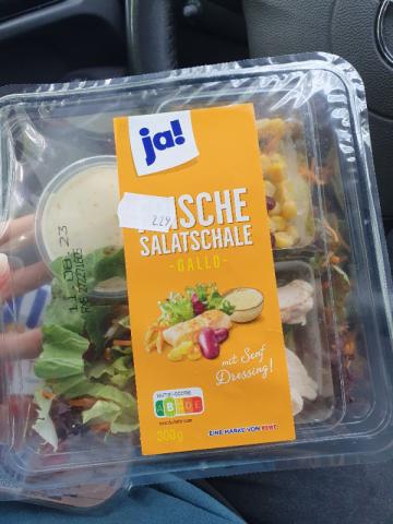 Frische Salatschale - Gallo -, mit Senf Dressing von funnygirl89 | Hochgeladen von: funnygirl89