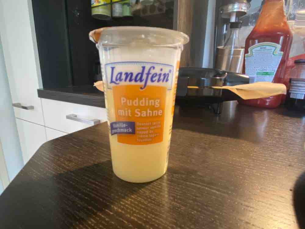 Landfein Pudding mit Sahne, Vanille von Felix1611 | Hochgeladen von: Felix1611