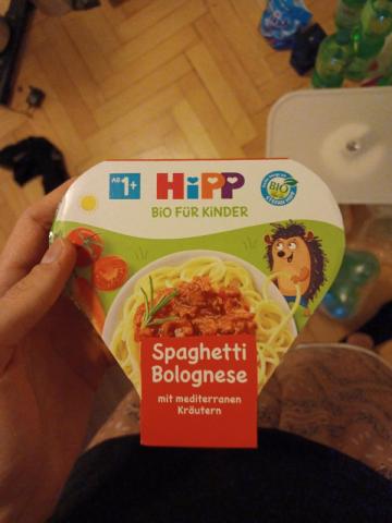 Spaghetti Bolognese von hald | Hochgeladen von: hald