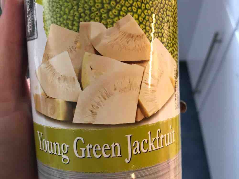 Jackfruit, grün, in Salzlake, Konserve von monani0312 | Hochgeladen von: monani0312