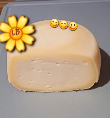 Spanischer Manchego , Hartkäse aus Schafsmilch, mindestens 50% F | Hochgeladen von: Muckelchen2407