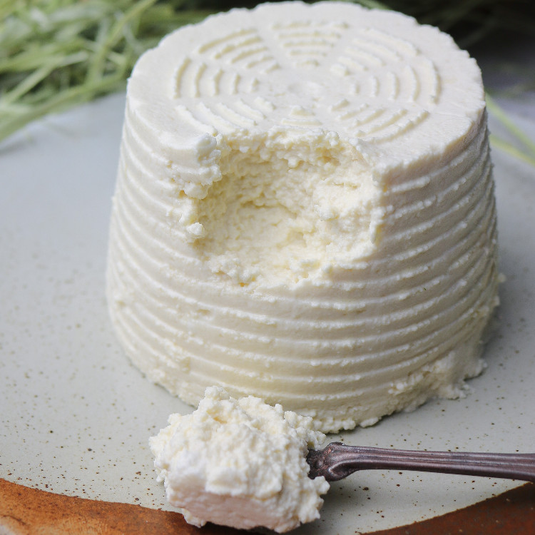 Ricotta, Dreiviertelfettstufe von TF65 | Hochgeladen von: TF65