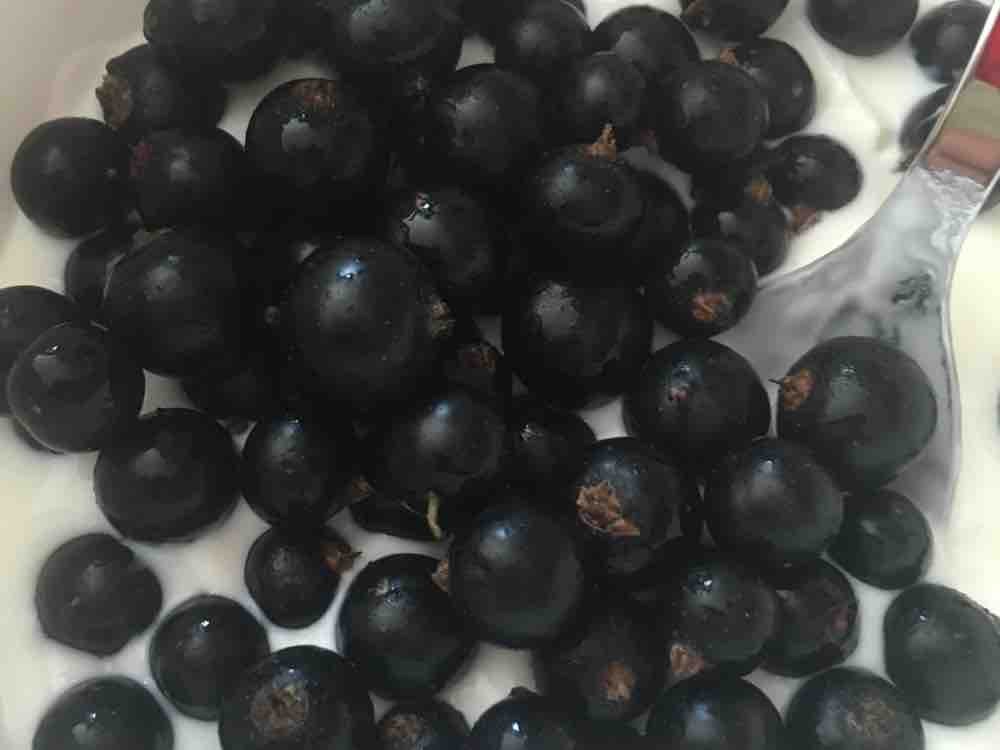 Beeren - Mix tiefgefroren, Schwarze Johannisbeeren, Rote Johanni | Hochgeladen von: sanjo