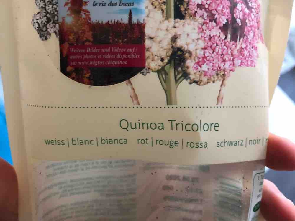 Quinoa Tricolore von LucSur | Hochgeladen von: LucSur