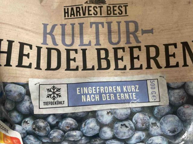 Kultur Heidelbeeren von bennetfreitel | Hochgeladen von: bennetfreitel