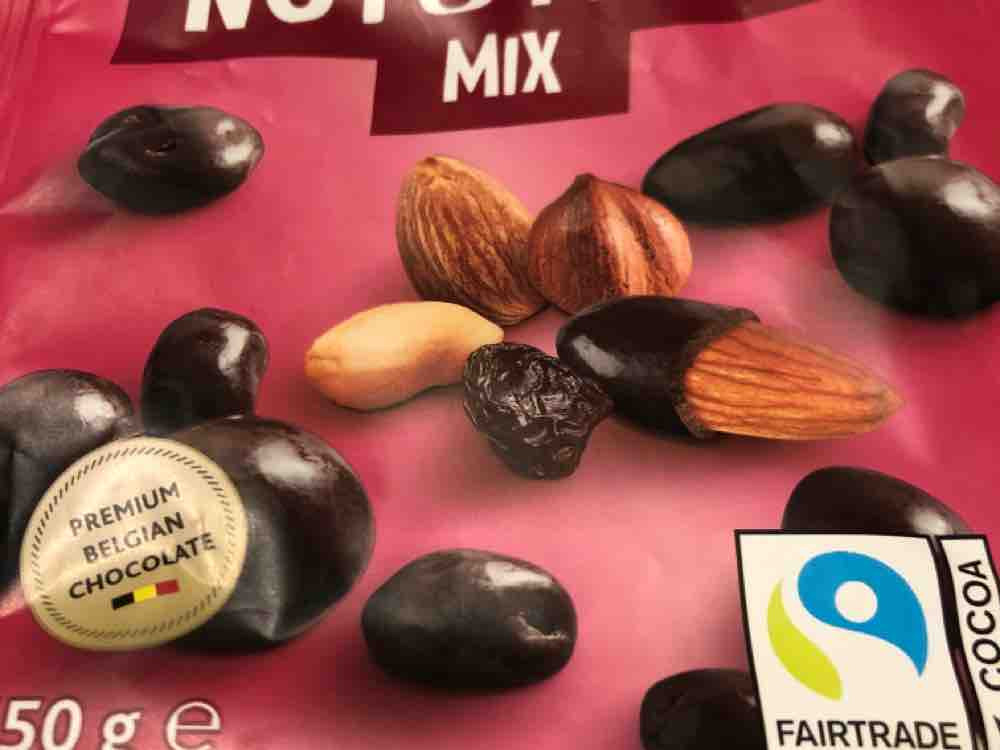 Dark chocolate Nut & Fruit mix, Studentenfutter in Zartbitte | Hochgeladen von: stoffelmeetswolle