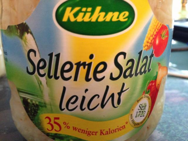 Sellerie Salat, leicht | Hochgeladen von: Birgit aus Hessen