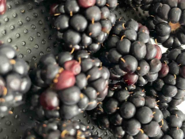 Blackberries by reginaborlestean | Uploaded by: reginaborlestean