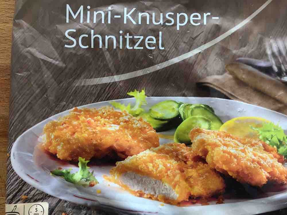Mini-Knusper-Schnitzel, Hähnchen  von OJay62 | Hochgeladen von: OJay62