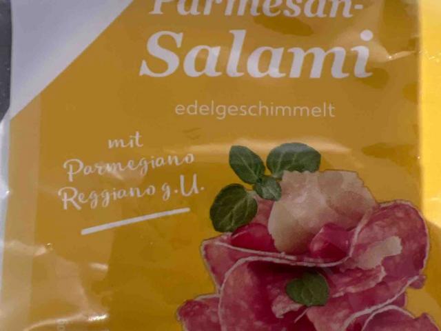 Parmesan Salami von burneleit | Hochgeladen von: burneleit