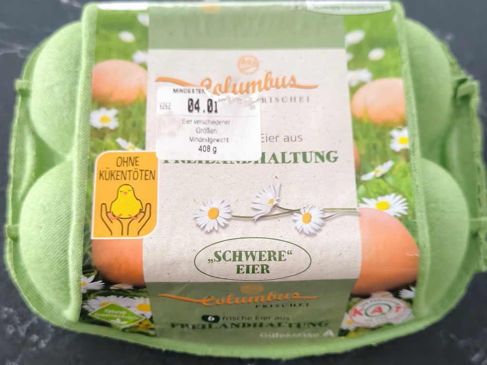 Hochgeladen von: freddernesto