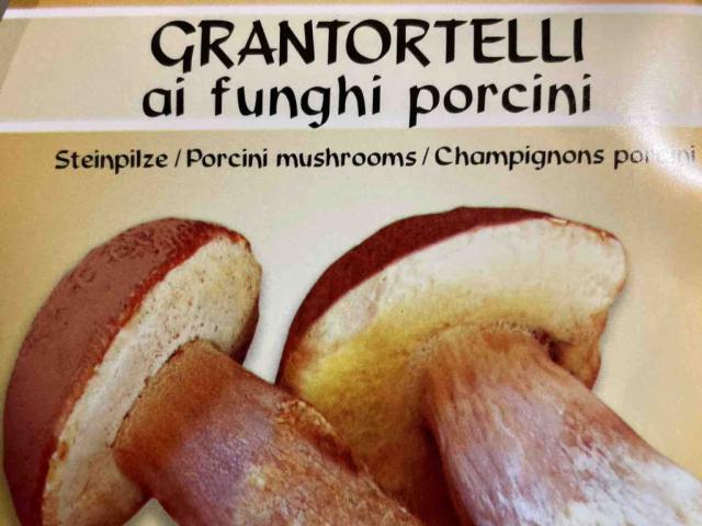 Grantortelli ai funghi porcini von Sam304 | Hochgeladen von: Sam304