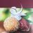 dattel kokos, konfekt von Maggie10 | Hochgeladen von: Maggie10