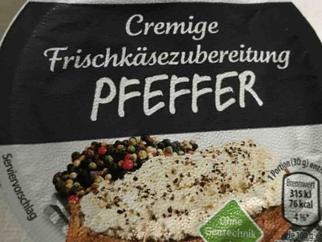 Cremige Frischkäsezubereitung, Pfeffer von Uwe60KA | Hochgeladen von: Uwe60KA