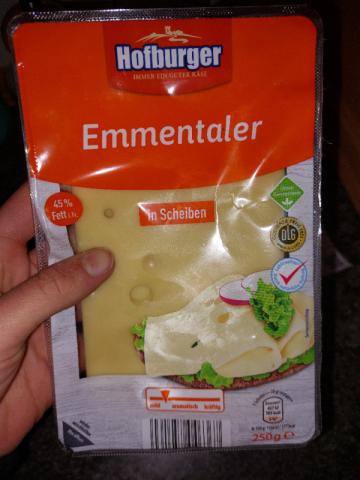 emmentaler von Lilly Brusis | Hochgeladen von: Lilly Brusis