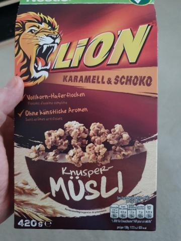 Lion Karamell & Schoko von arnoschaefer | Hochgeladen von: arnoschaefer