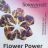 Flower Power, Bio-Gewürz-Blüten-Zucker-Zubereitung von AntiO | Hochgeladen von: AntiO