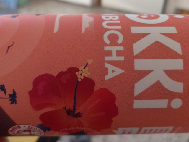 Kombucha, Hibiscus Rose Timur by vl4519 | Uploaded by: vl4519