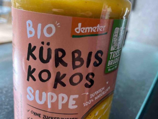 Bio Kürbis Kokos Suppe von Estropeado | Hochgeladen von: Estropeado