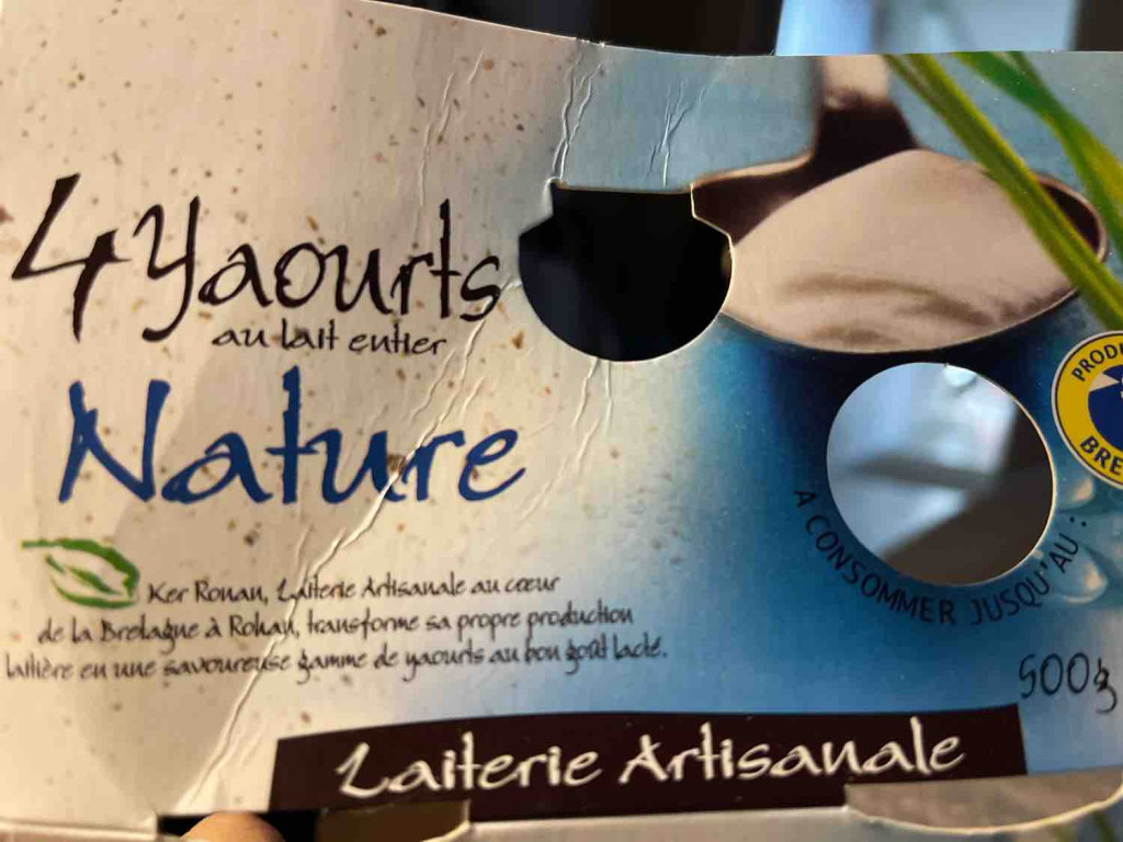 yaourt nature, au lait entier von Leoblanche | Hochgeladen von: Leoblanche