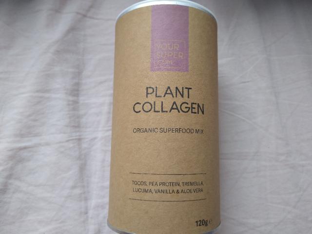 Plant collagen, tocos,pea proteina,tremella,lucuma,vanilla,aloe  | Uploaded by: Pawis