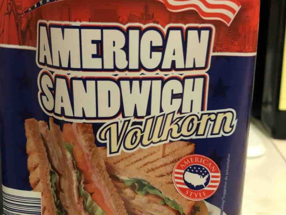 American Sandwich, Vollkorn von sealion71 | Hochgeladen von: sealion71