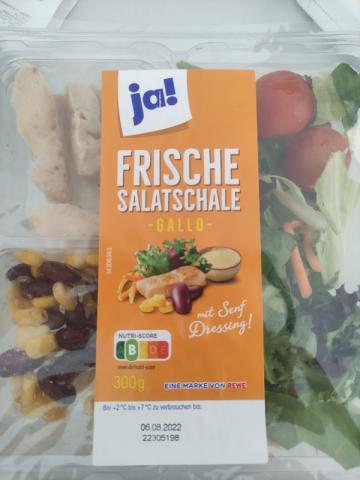 Frische Salatschale Gallo, mit Senf Dressing by lmancheva | Hochgeladen von: lmancheva