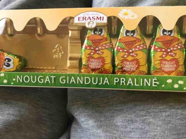 Nougat  Gianduja Praline, gefüllte Milchschokolade mit Haselnuss | Hochgeladen von: kh60