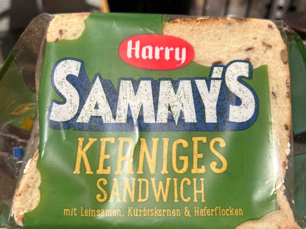 Sammy‘s Kerniges Sandwich von SandraSal | Hochgeladen von: SandraSal