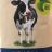 Bio Uht Drink Milch von grafta | Hochgeladen von: grafta