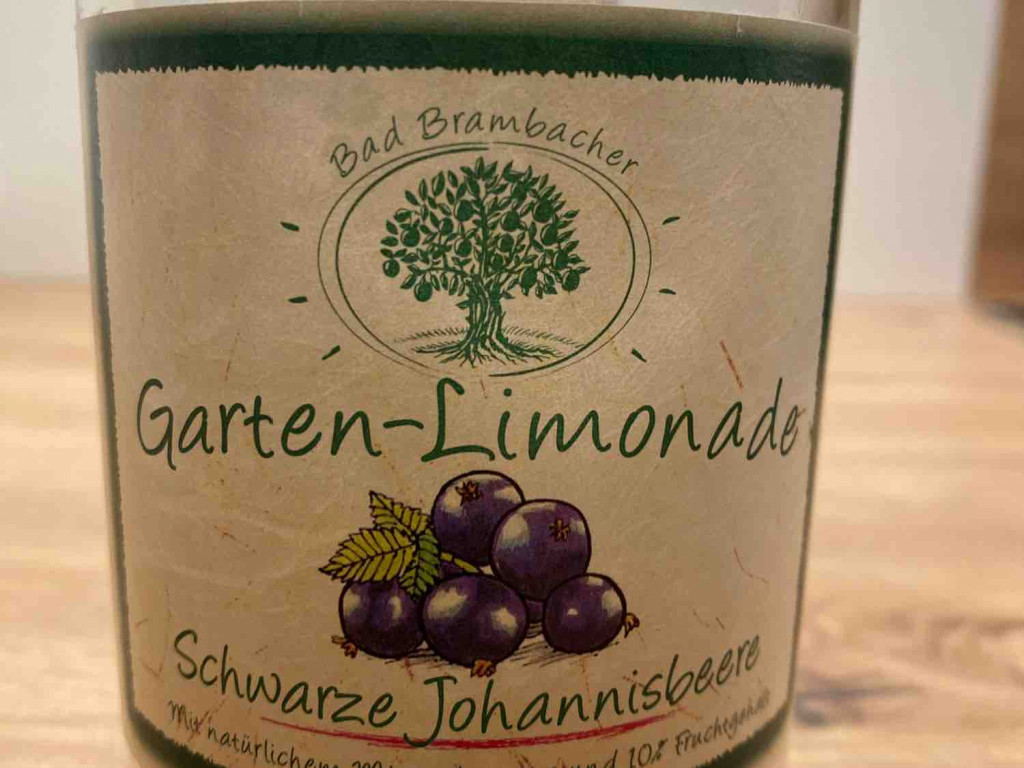 Garten - Limonade, Schwarze Johannisbeere von eisi306 | Hochgeladen von: eisi306