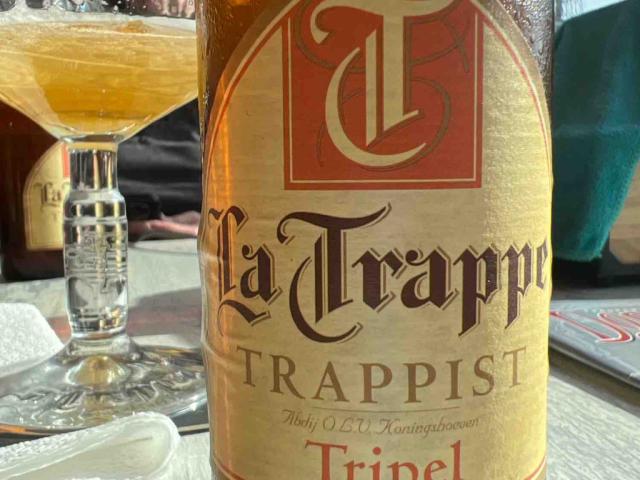 La Trappe Tripple Bier, 8% Alkohol von DrK1958 | Hochgeladen von: DrK1958