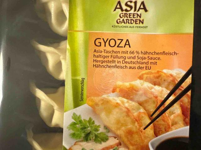 Gyoza Hähnchenfleischfüllung von Mxucoco | Hochgeladen von: Mxucoco