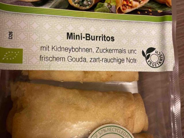 Mini-Burritos von blumenbike | Hochgeladen von: blumenbike