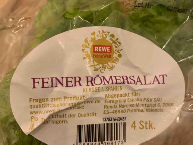 Feiner Römersalat by TrueLocomo | Uploaded by: TrueLocomo