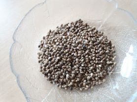 Hanfsamen (Bio) | Hochgeladen von: Brigitte.Bosse Hanfsamen (Bio) | Hochgeladen von: Brigitte.Bosse