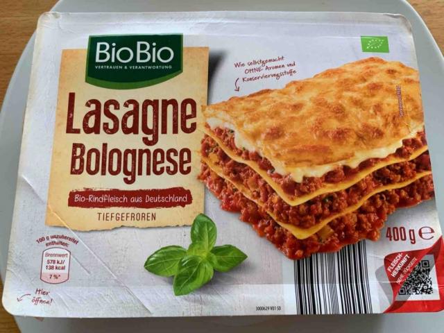 Lasange Bolognese, tiefgefroren von meycar994 | Hochgeladen von: meycar994