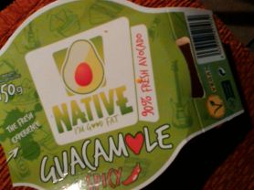 Guacamole | Hochgeladen von: magrat