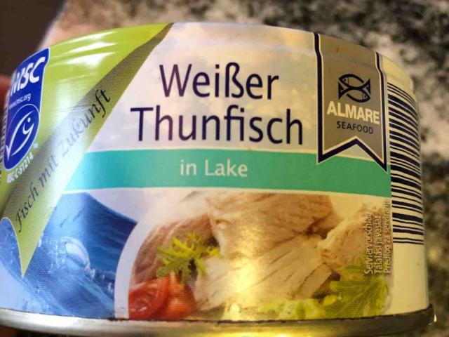 Weisser Thunfisch, in Lake von Bettina81 | Hochgeladen von: Bettina81