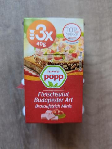 Fleischsalat, Brotaufstrich Budapester Art von Charene | Hochgeladen von: Charene