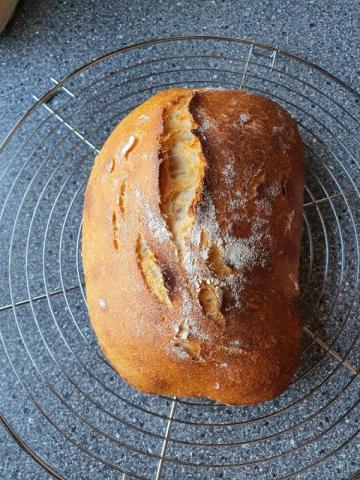 Sauerteigciabatta, Fohrer von Fohrer | Hochgeladen von: Fohrer