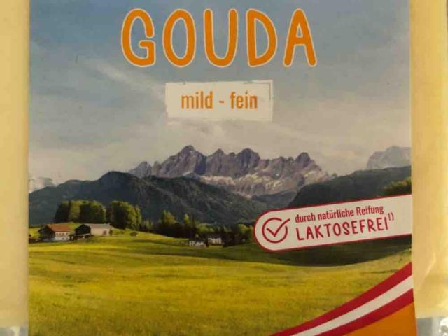 Gouda (mild - fein) von rore | Hochgeladen von: rore