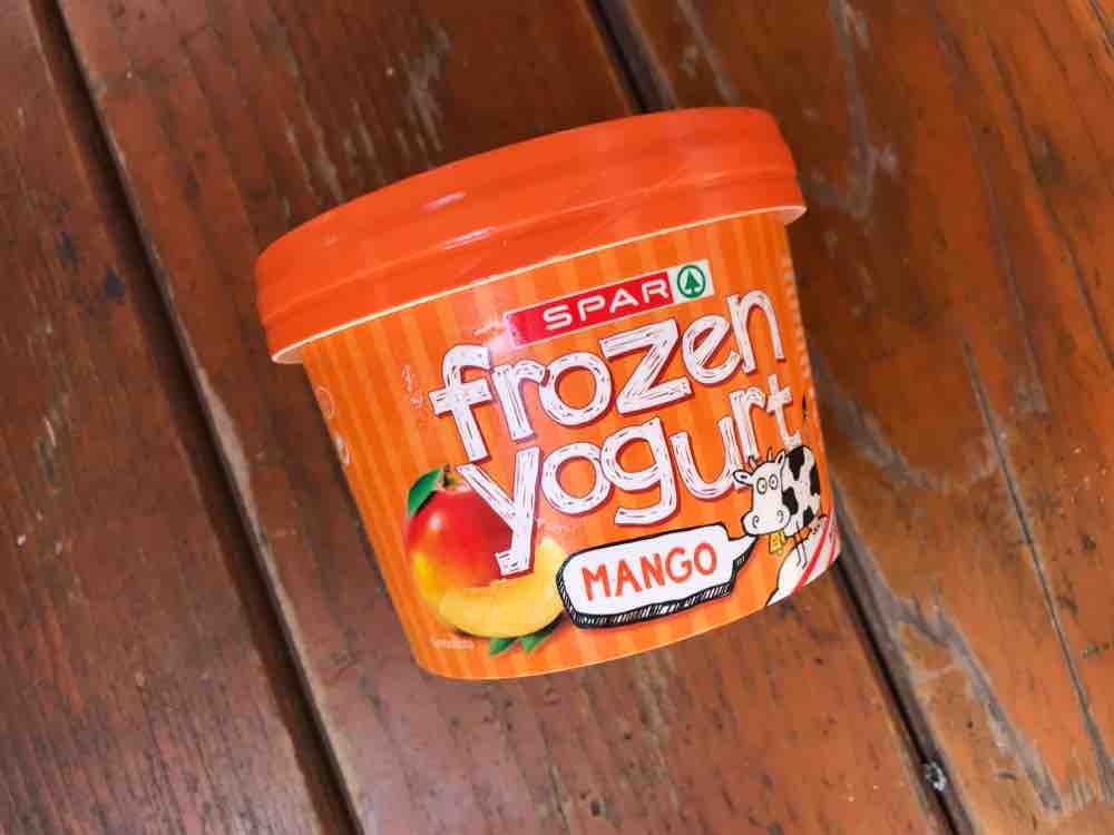 frozen yogurt, mango von brandyvag | Hochgeladen von: brandyvag
