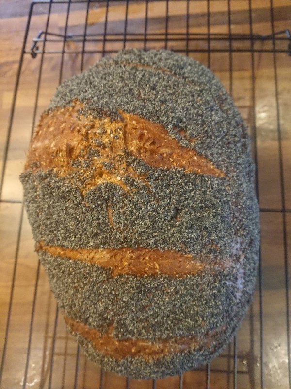 Low Carb Brot selbstgebacken von sadshade | Hochgeladen von: sadshade