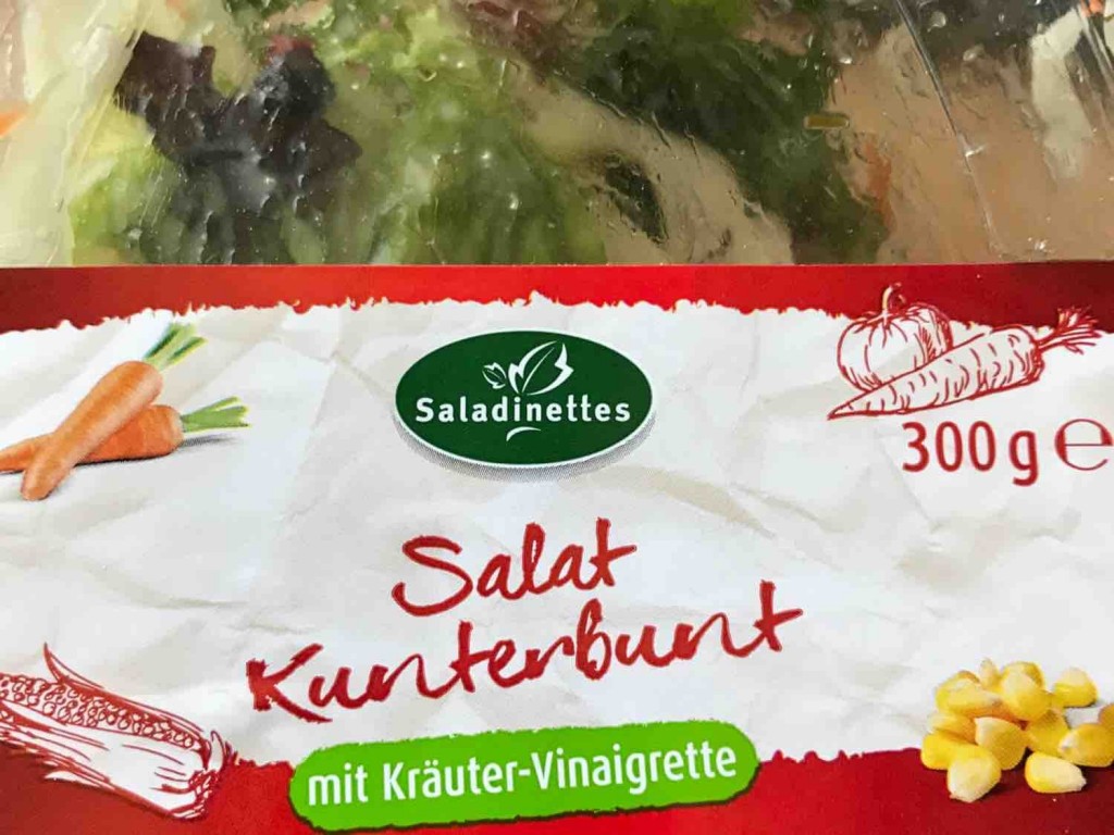 SALAT Kunterbunt, mit Kräuter-Vinaigrette von UdoGlaser | Hochgeladen von: UdoGlaser