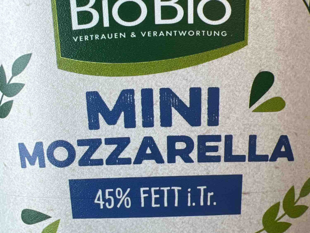 Mini Mozzarella, 45% Fett i.Tr. von OooMAXooO | Hochgeladen von: OooMAXooO