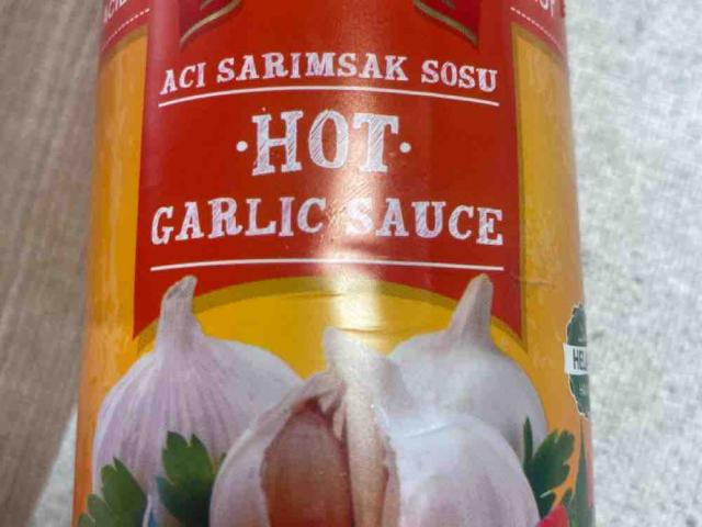 Hot Garlic Sauce von LeoPa6405 | Hochgeladen von: LeoPa6405