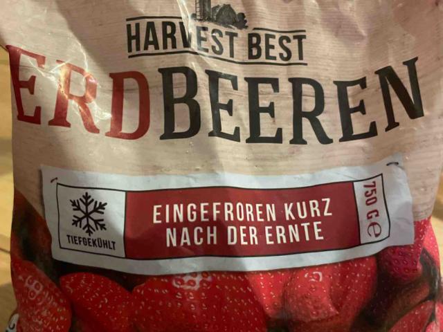 Erdbeeren, eingefroren kurz nach der Ernte von FinnMilanGregor | Hochgeladen von: FinnMilanGregor